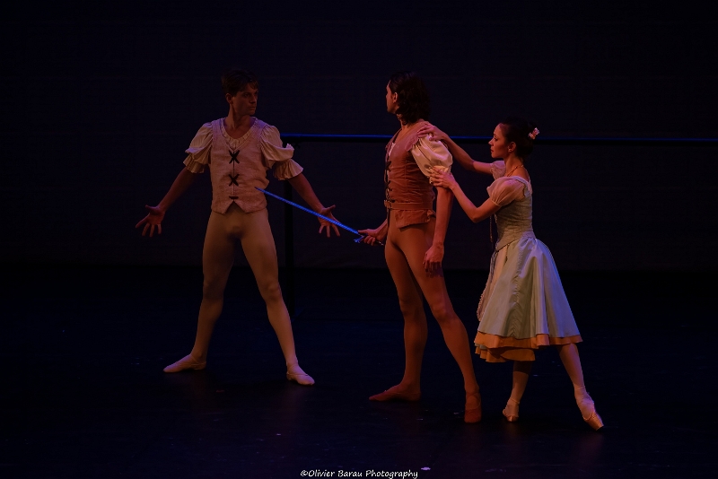 ballet romantique (22).jpg